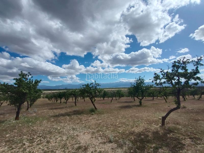 Foto 11b3559d-4d56-4b63-be94-35a92ee97676. Finca rústica a calle las ventas 11 a Guadix