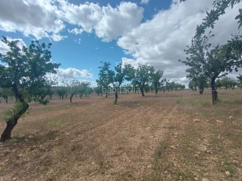 Foto 4cdca07e-7258-4886-8dc0-60271cfe4aad. Finca rústica a calle las ventas 11 a Guadix