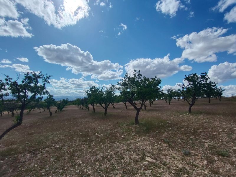 Foto 51dbc8a6-5673-4f46-9005-a829e369a5f7. Finca rústica a calle las ventas 11 a Guadix