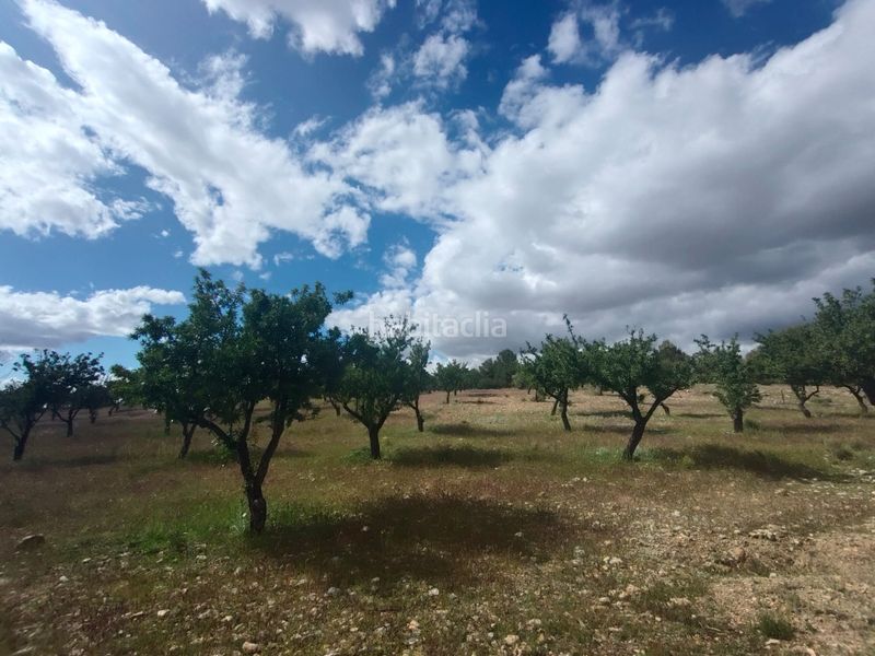 Foto 6720c472-3bc7-4880-aa90-a501e8370537. Finca rústica a calle las ventas 11 a Guadix