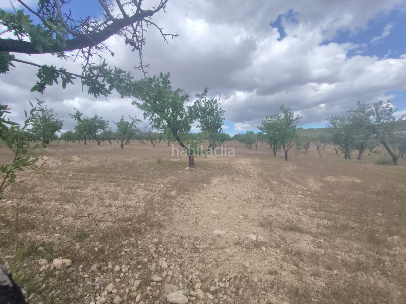 Foto 69843cff-de41-4292-b349-52907fff79aa. Finca rústica a calle las ventas 11 a Guadix