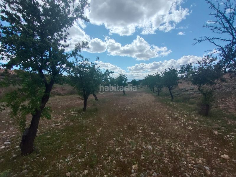 Foto 7c9600ff-aa94-4a56-bf90-902967a14444. Finca rústica a calle las ventas 11 a Guadix