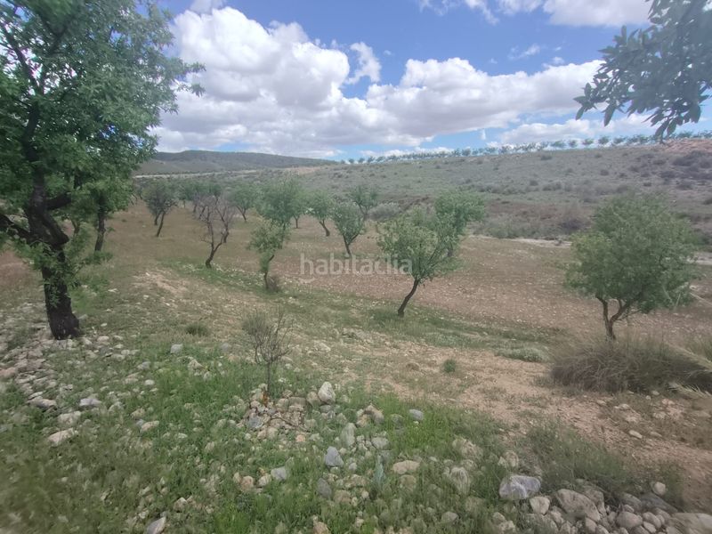 Foto ad32e010-fc45-4da7-b5c7-6115bf57d1f4. Finca rústica a calle las ventas 11 a Guadix