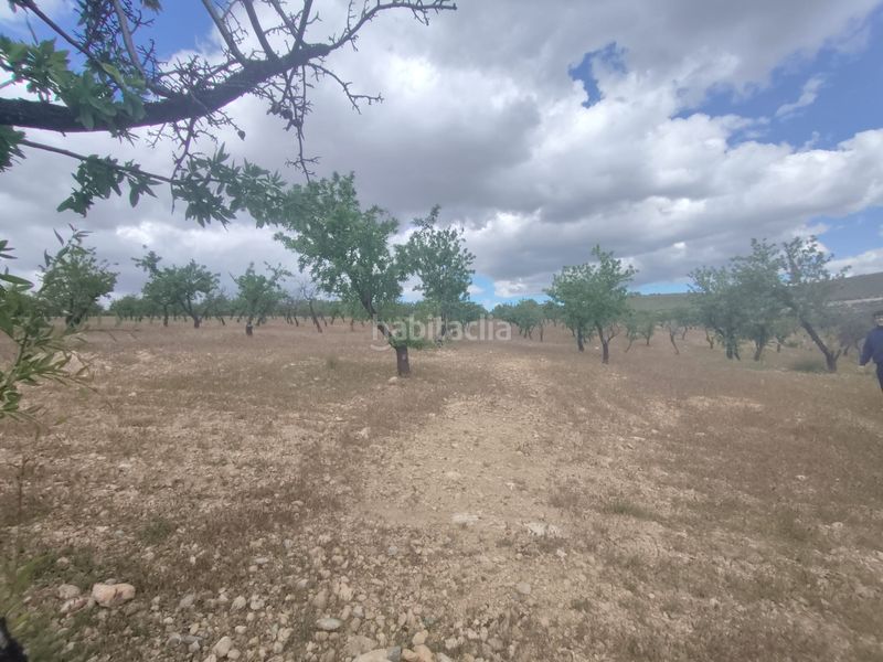 Foto ba2d3261-50f8-4ecf-903d-dcffd4133398. Finca rústica a calle las ventas 11 a Guadix