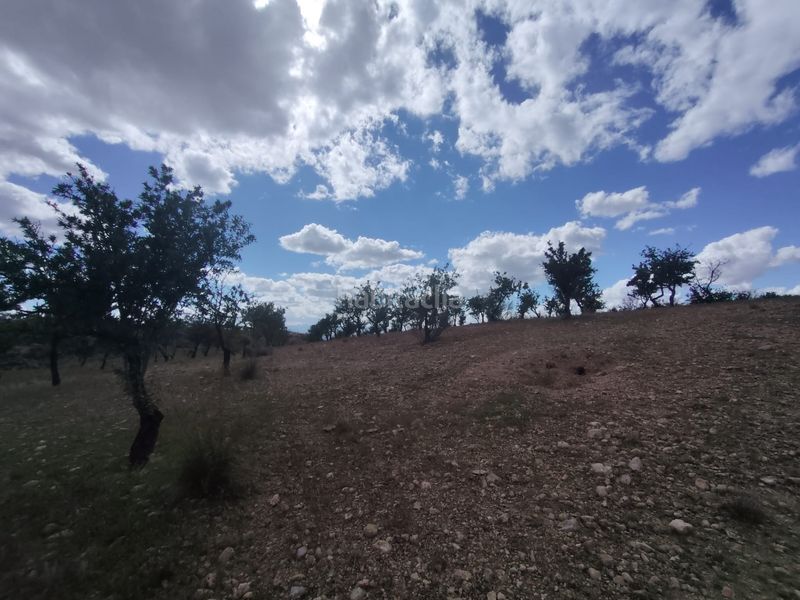 Foto c787e529-c825-43a2-9d0e-0a97776579d2. Finca rústica a calle las ventas 11 a Guadix