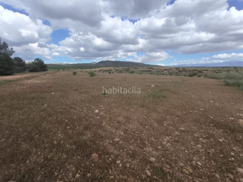 Foto 43f20bcd-197a-4b30-9f40-bb8f414e60c9. Finca rústica a Guadix