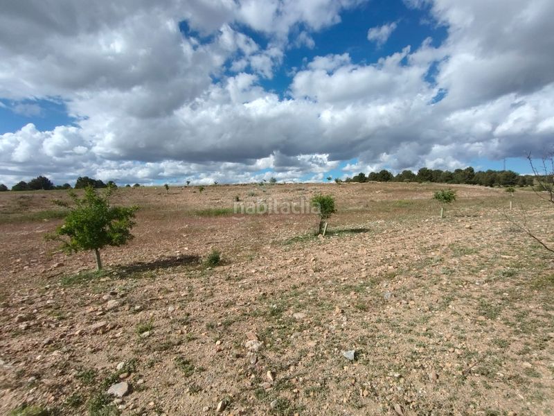 Foto 448730e1-9745-4642-89ac-becf8b6198bd. Finca rústica a Guadix
