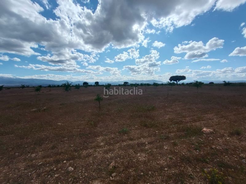 Foto 586dc762-48fe-43dc-a550-4c1caa8c153d. Finca rústica a Guadix