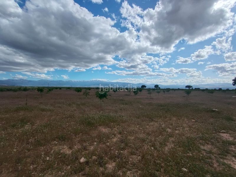 Foto 6e330b68-b05d-45ff-a75f-e9a9fe19cc11. Finca rústica a Guadix