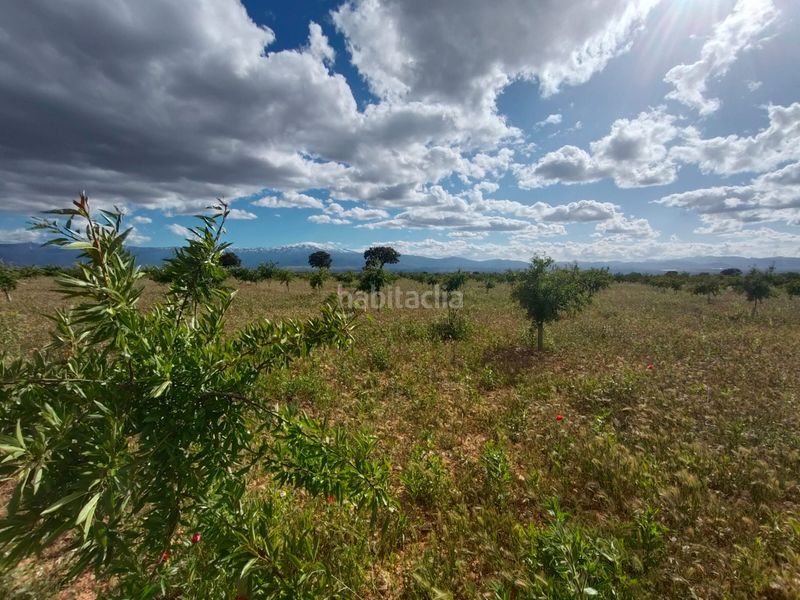 Foto 83878481-4164-4760-a9eb-2361d8cb2ee5. Finca rústica a Guadix