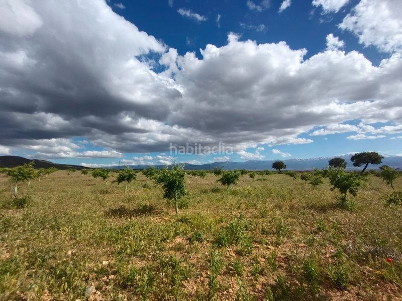 Foto faa8b908-43e5-4b6e-be46-9d9415e2a6d5. Finca rústica a Guadix