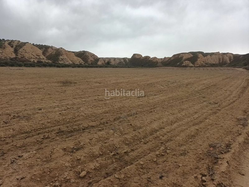 Foto 446eb7e5-3860-46d8-8151-d6f403772ded. Finca rústica a Fonelas