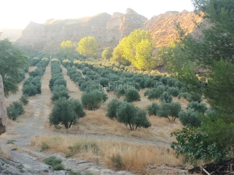 Foto d47effda-bbd2-412e-99e0-d582ec83a285. Finca rústica a Fonelas