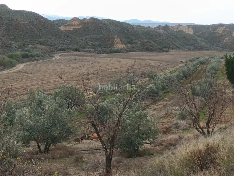 Foto e7ae7901-5243-4951-bb06-15bb25b8e5e4. Finca rústica a Fonelas