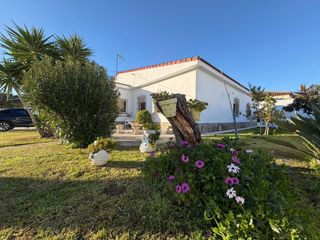 Xalet a La Soledad. Estupenda vivienda con parcela, piscina y nave en la zona de la