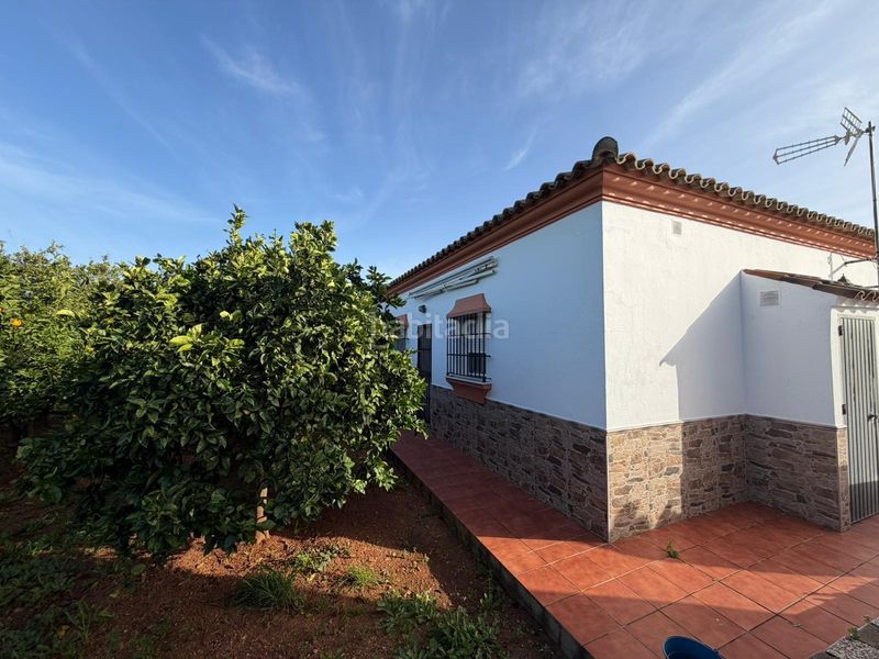 Foto 05b305e9-1913-4ac8-a670-d8020873f5f5. Chalet finca con dos viviendas en molino viejo 1.935 m2 de parcela. en Chiclana de la Frontera