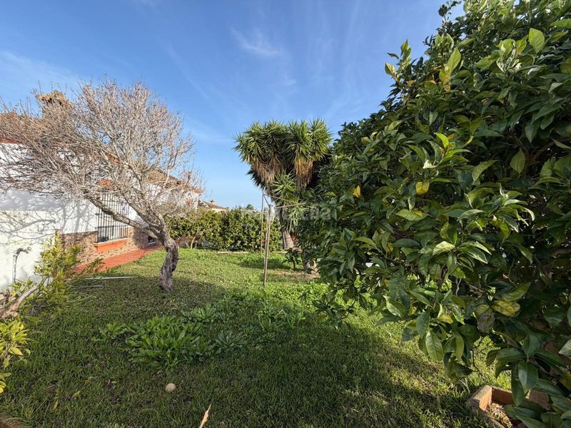 Foto e3793877-9a63-4b14-ad47-bedb7ce5c0f1. Chalet finca con dos viviendas en molino viejo 1.935 m2 de parcela. en Chiclana de la Frontera