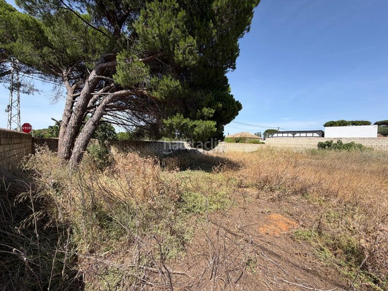 Foto c7e7875d-b587-4111-849a-b316982aa95b. Finca rústica a Novo Sancti Petri Chiclana de la Frontera