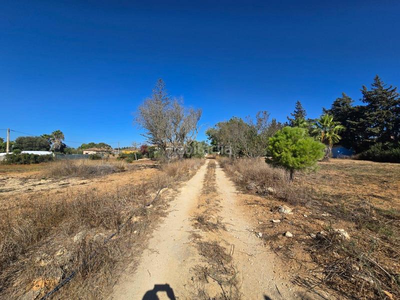 Foto 06e42fd2-8810-4518-bf8d-3baeb0b385f8. Xalet amb aparcament piscina a Las Lagunas - Campano Chiclana de la Frontera