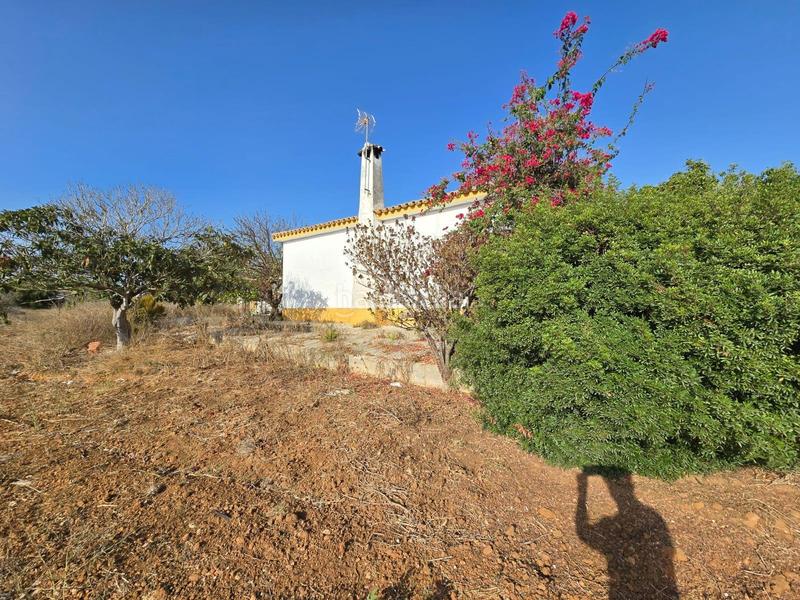 Foto 5f902e52-c9ed-401c-a639-8fbe337b5ce0. Xalet amb aparcament piscina a Las Lagunas - Campano Chiclana de la Frontera