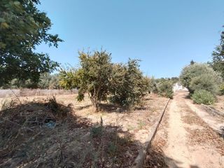 Residential Plot in La Banda - Campo de Fútbol