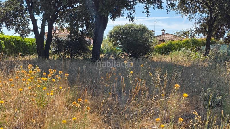 Foto 3f52c607-cda3-47ba-9235-a30faba3edea. Wohngrundstück in calle río gallo 417 in Torrejón del Rey