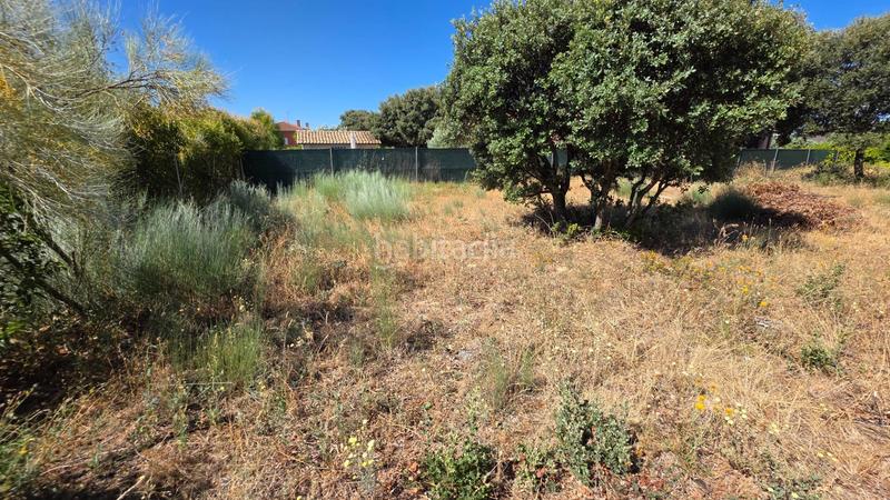 Foto 65c53237-b37b-4965-9a1d-14597840bf34. Wohngrundstück in calle río gallo 417 in Torrejón del Rey