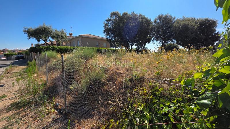 Foto 9820d127-33ba-46bc-98ab-31b5bd68c8b6. Wohngrundstück in calle río gallo 417 in Torrejón del Rey