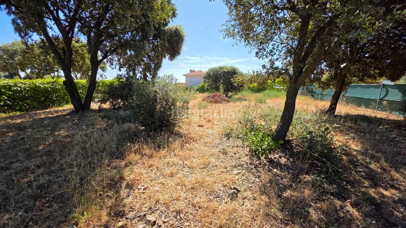 Foto c8c1f930-d9d4-4059-b54b-345fc2fcaeee. Wohngrundstück in calle río gallo 417 in Torrejón del Rey