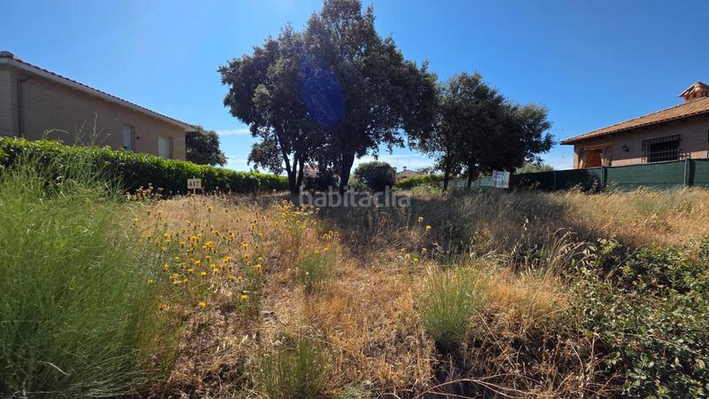 Foto f1882414-39e0-42dd-a41b-3cf9912b520d. Wohngrundstück in calle río gallo 417 in Torrejón del Rey