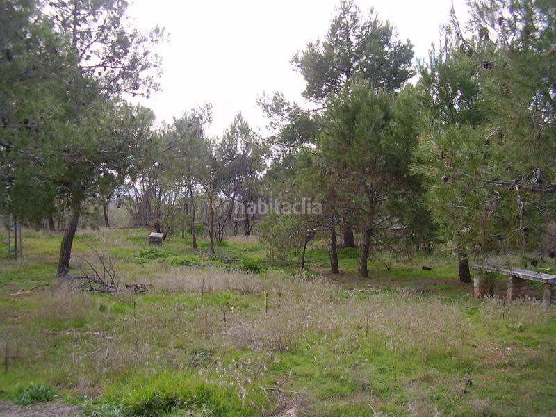 Foto ee828c1f-9784-466f-a342-2a7c3101f32b. Finca rústica a Úbeda