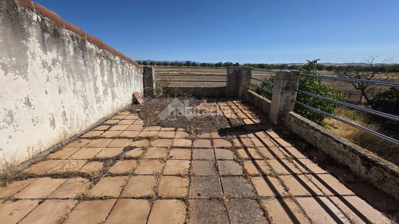 Foto a590ef4b-d0ad-45f0-a2b0-eca0c7b16057. Mas dans Molar (El)