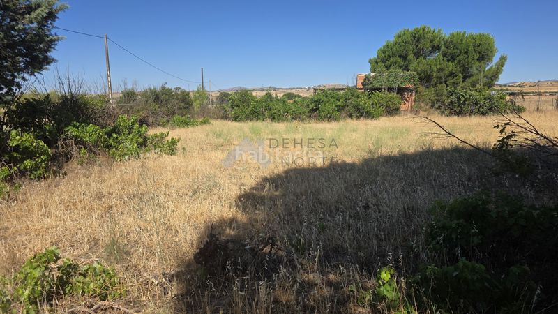 Foto cad2bbab-a0ab-43b1-aef3-1b418581a204. Mas dans Molar (El)