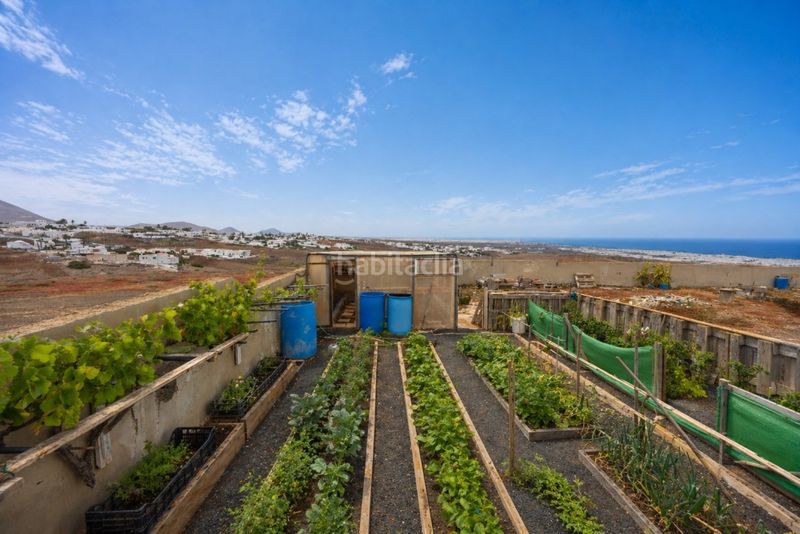 Foto ccc6073e-c24d-4f1e-9d67-87b99add9dc1. Terreny residencial a Güime San Bartolomé