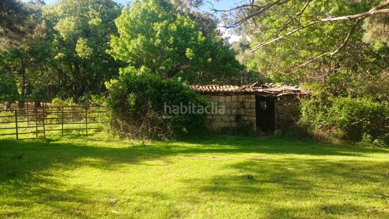 Foto 8f5420ac-8dd6-45e8-a4ea-2b9f9b27dab8. Finca rústica a carretera de la jarosa 1 a Guadarrama