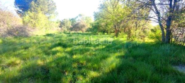 Foto 0a976204-b5b9-4608-a768-9c32046c7d9c. Terreny residencial a Guadarrama