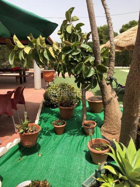 Foto dca32677-daf7-4a5c-ae60-6c6bfb720095. Chalet avec parking piscine dans Totana