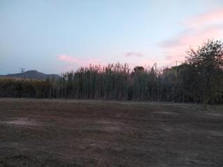 Finca rústica en Blanca. Terreno en blanca