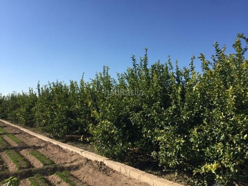 Foto 51de58cf-e1e9-455f-9768-110511f01a5e. Finca rústica terreno rural Llano de Brujas en Llano de Brujas Murcia