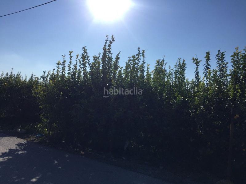 Foto 83e33400-a206-4fd3-9686-9972e8c4a1db. Finca rústica terreno rural Llano de Brujas en Llano de Brujas Murcia