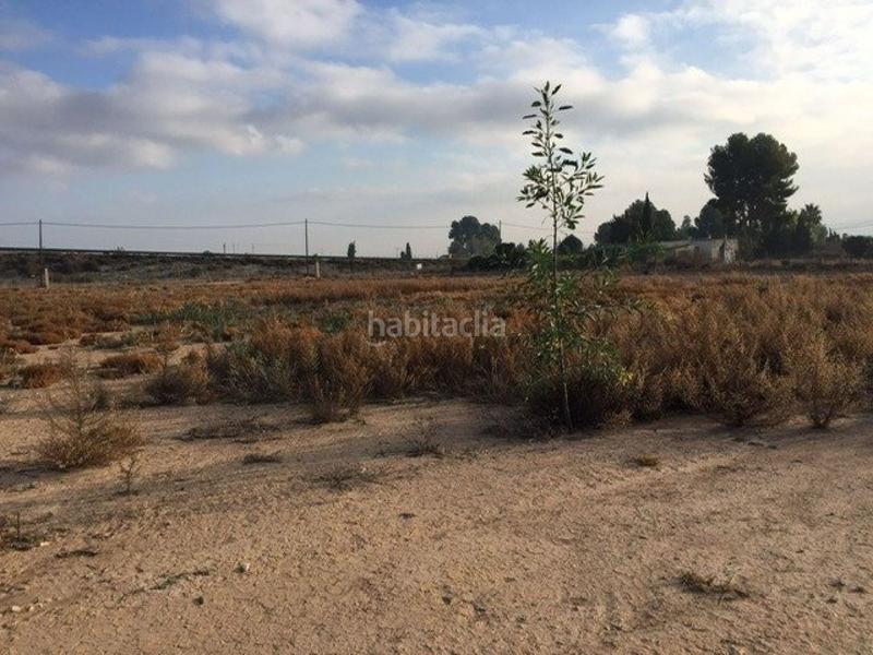 Foto 037705ed-088a-4313-b12a-f13800601b81. Casale in Librilla