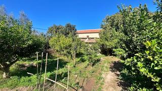 Finca rústica a Guadalupe. Terreno rústico con dos viviendas en guadalupe, próximo a la uca