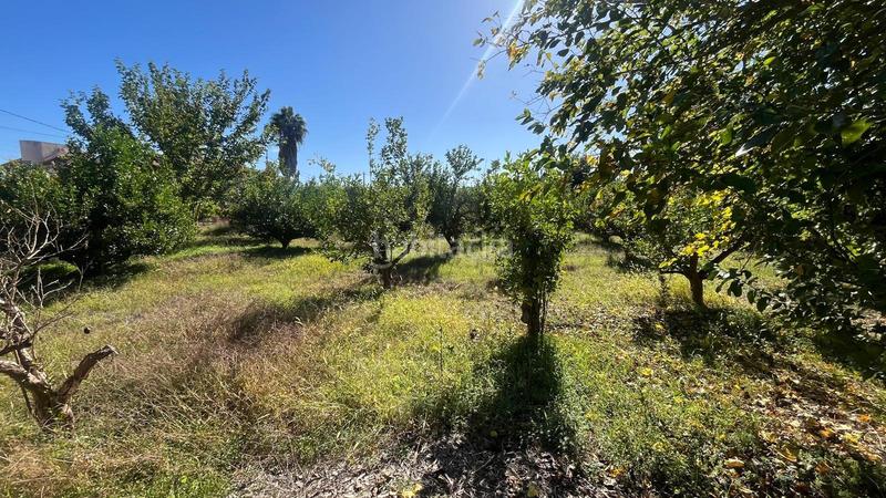 Foto b703f3a6-7f74-46bd-acec-53c9f70d613e. Finca rústica a Guadalupe Murcia