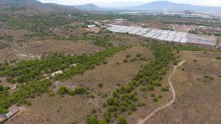 Finca rústica a Totana