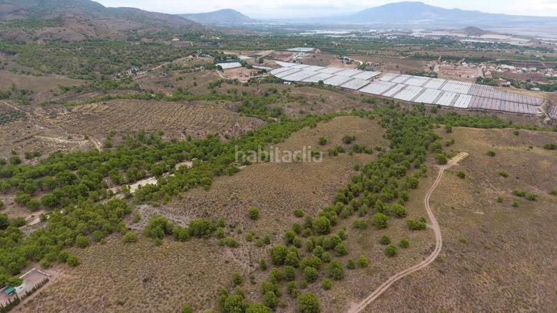 Foto 597e054b-f1a6-419a-8517-8a3dc1a7eddf. Propriété dans Totana