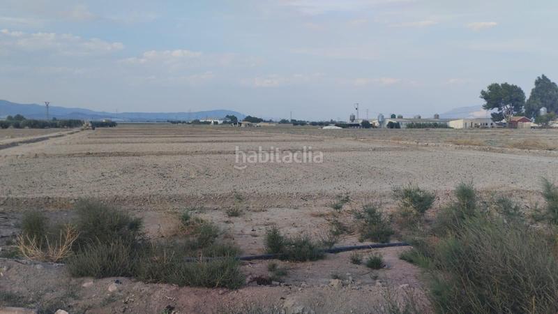 Foto 8436b125-60a8-4258-b67d-68806f9b03c6. Rural plot in Totana