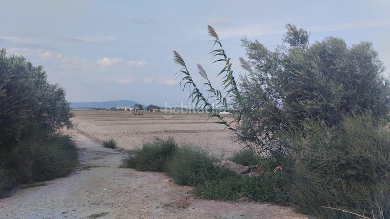 Foto 9c2650c5-1be8-411d-90b0-f74163728770. Rural plot in Totana