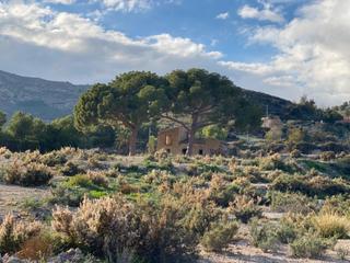 Maison à Totana. Casa o chalet independiente en venta en totana