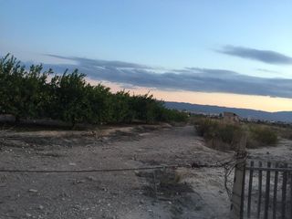 Terreny residencial a Javalí Viejo