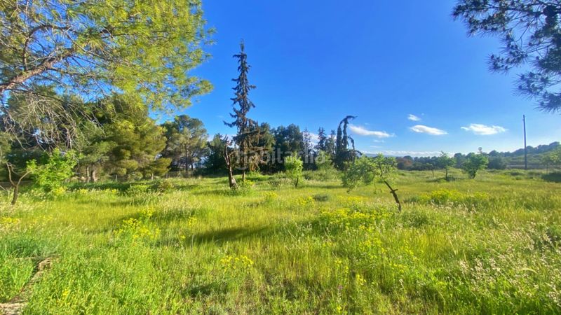 Foto 12e56f54-984c-4f30-8b55-98c787d9e6b7. Masia amb aparcament a Totana